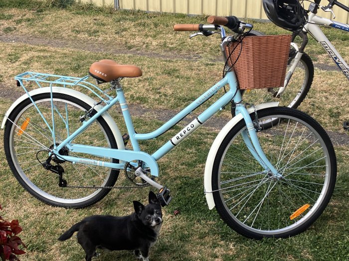 Repco 60cm bike 2025