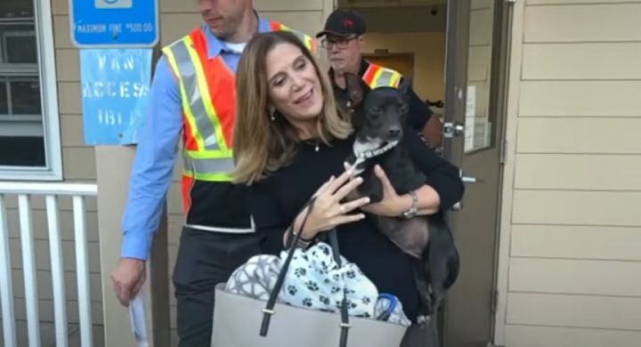 woman reunited with dog at airport Atlanta