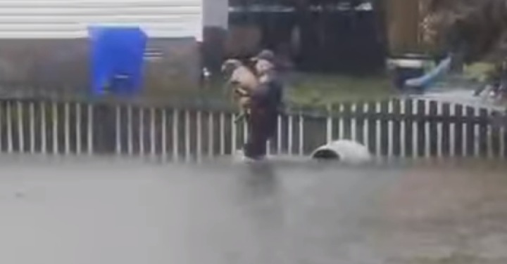 police save dog drowning from flood