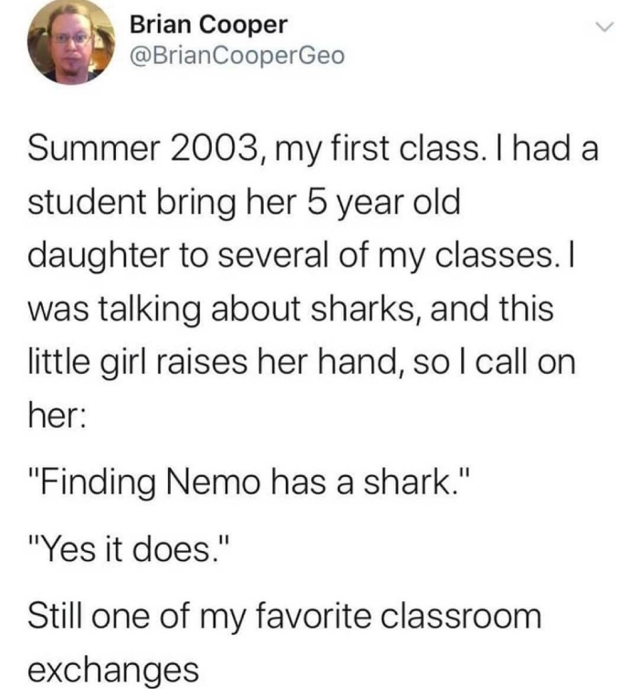 kids shark