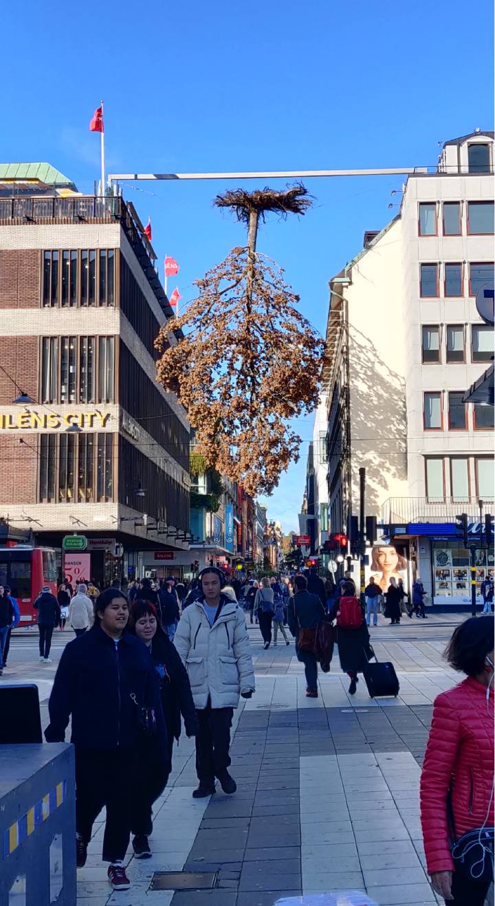 upside down tree sweden