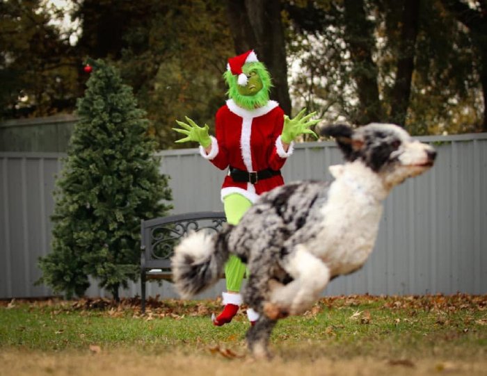 the grinch scaring dogs