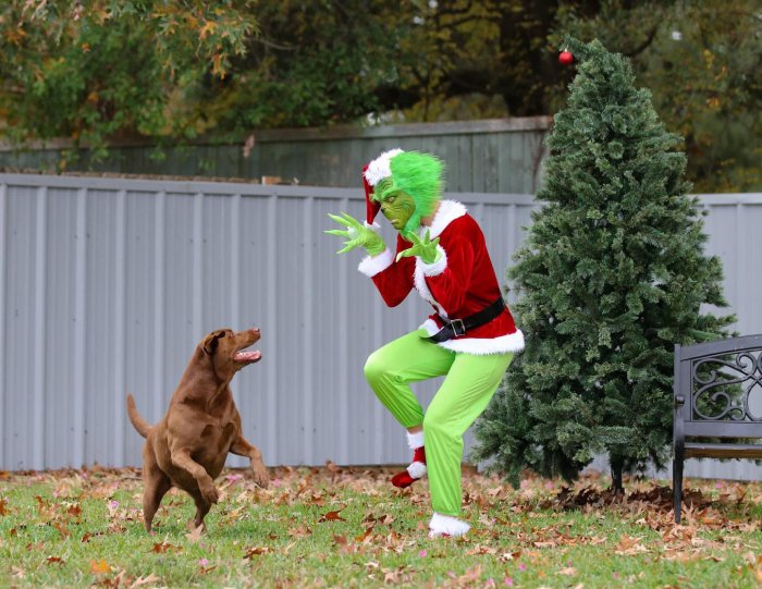 the grinch scaring dogs