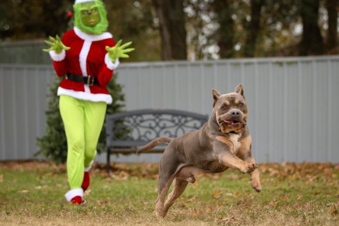 the grinch scaring dogs