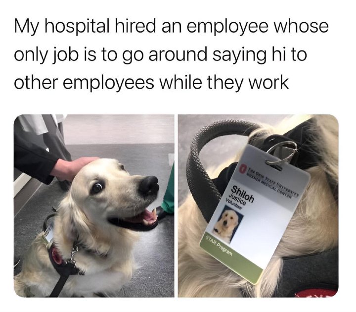 employee of the month
