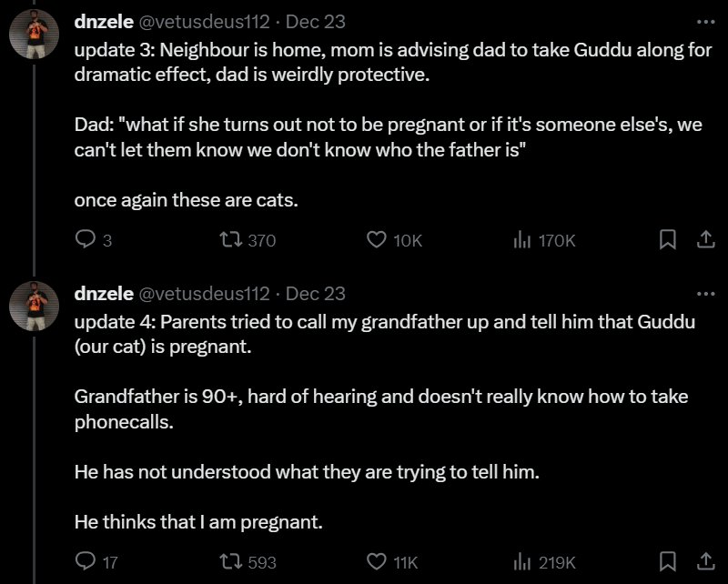 funny cat story on twitter