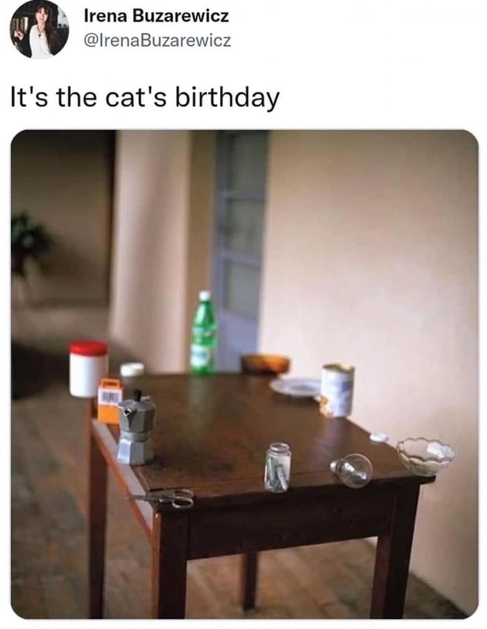 its the cats birthday
