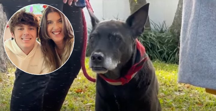 good news dog saves teen from fire