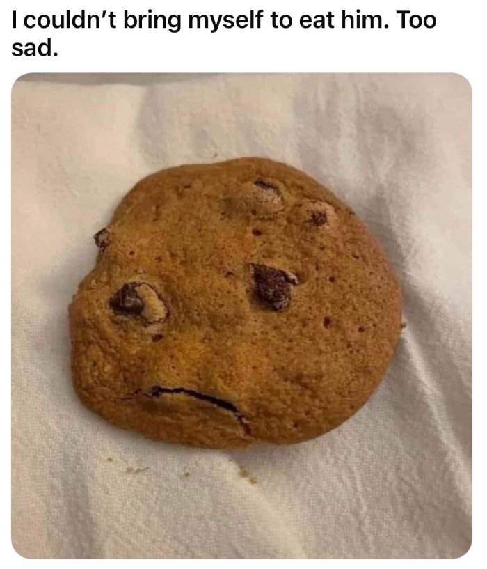 sad cookie