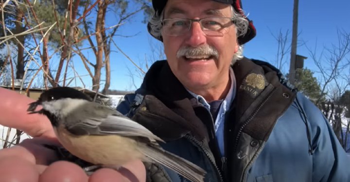 how to get birds to eat from your hand