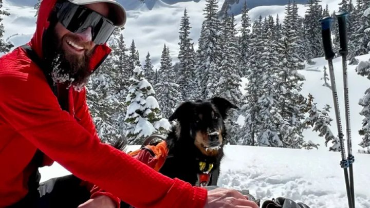 missing dog found avalanche