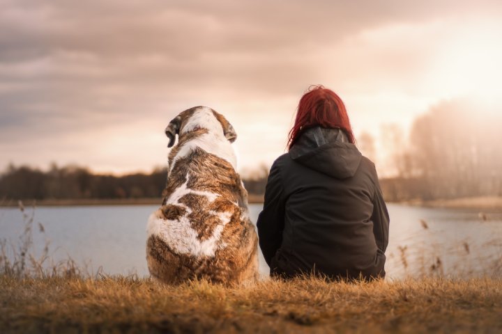 what is the kindest thing a pet has ever done for you