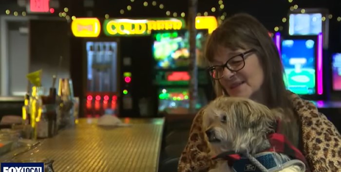 woman finds missing dog at bar