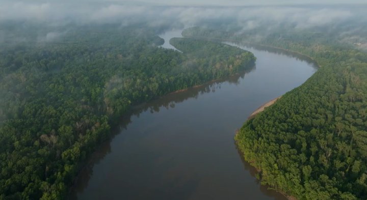 Alabama amazon