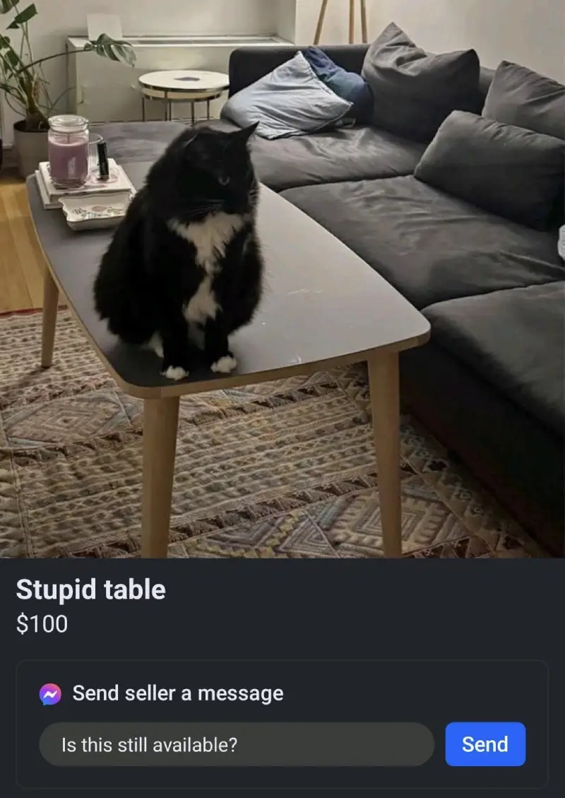 stupid table cat facebook marketplace