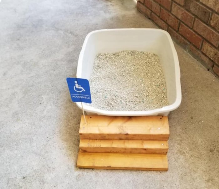 handicap cat litterbox