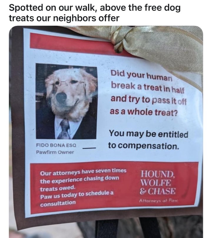 dog treat attorney