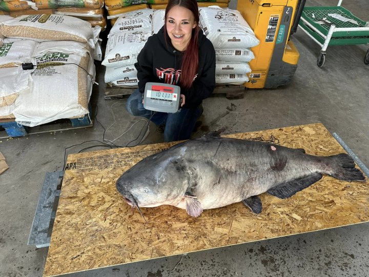 teen catches massive catfish state record