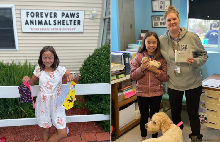 little girl makes bandanas for shelter dogs