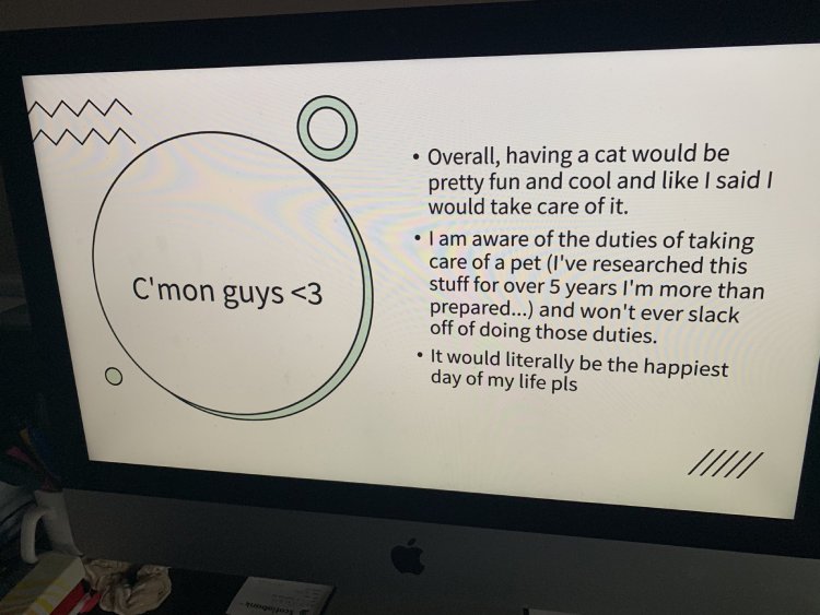 daughter adopt a cat powerpoint
