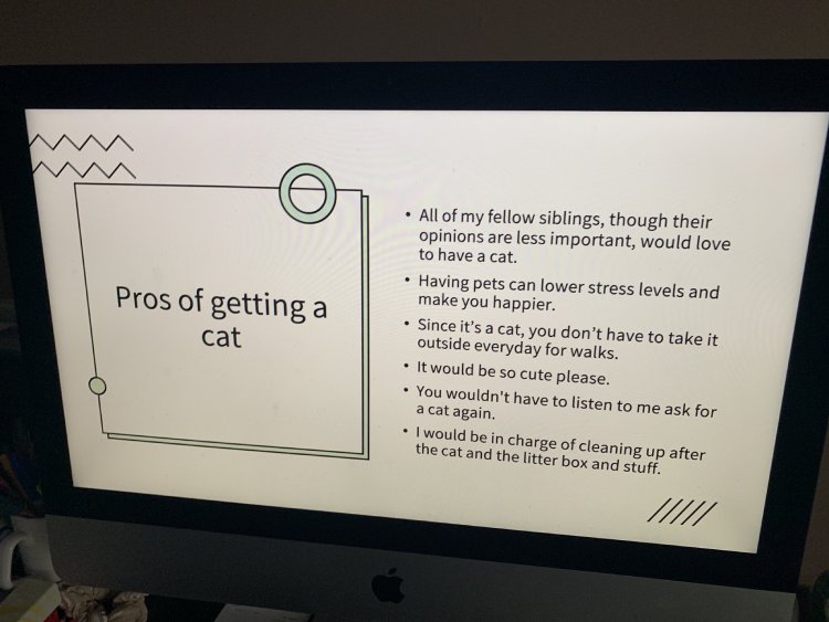 daughter adopt a cat powerpoint