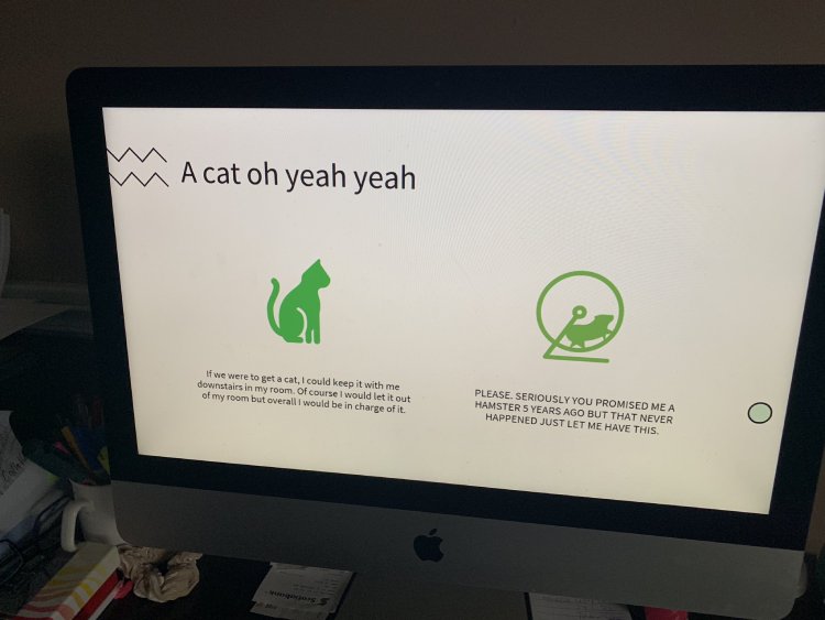 daughter adopt a cat powerpoint