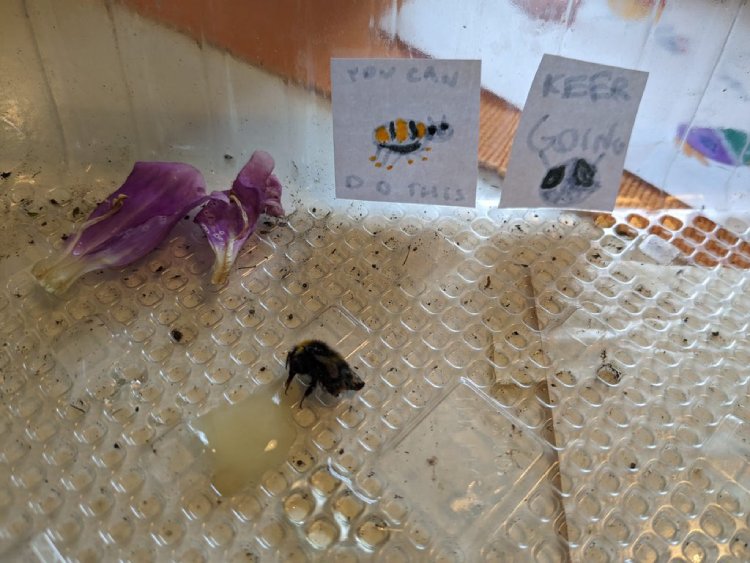 motivational posters for bee