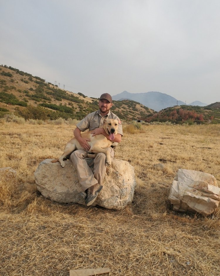 two dogs rescue woman dementia