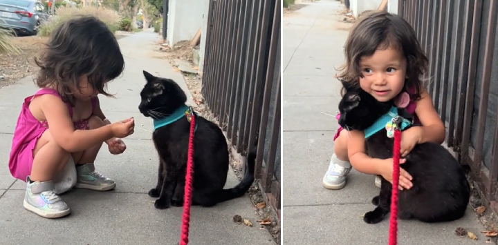 cat and little girl bond on walk