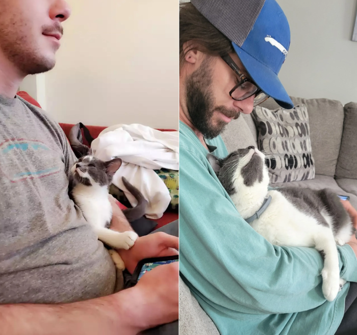smitten kitten