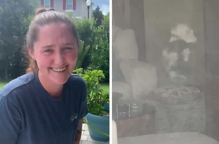 woman face on screen door scary ghost