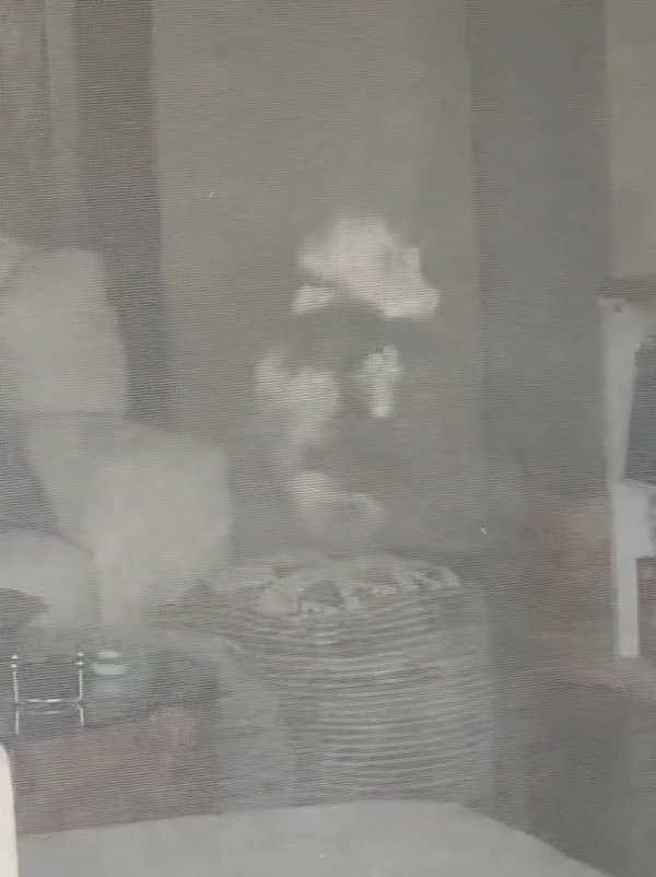 woman face on screen door scary ghost