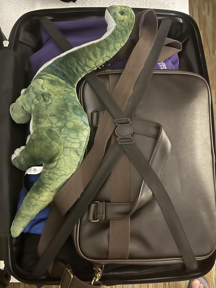 dinosaur in dads suitcase