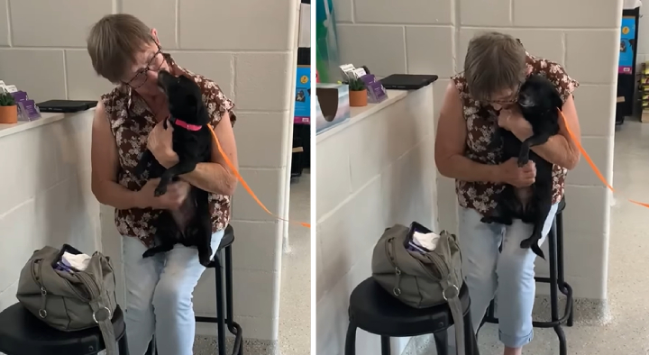 woman reunited with dog