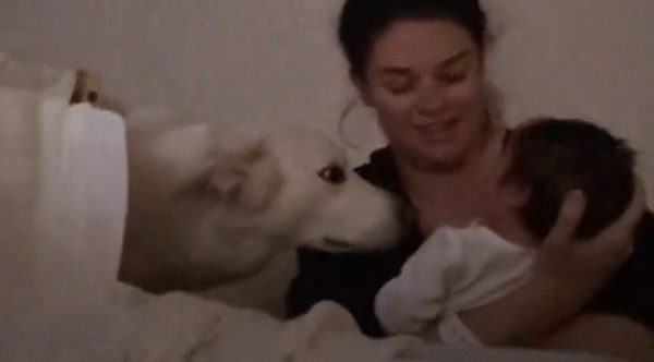 dog helps new mom