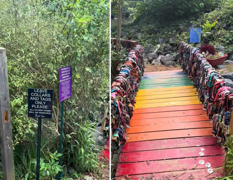 Rainbow Bridge North Carolina