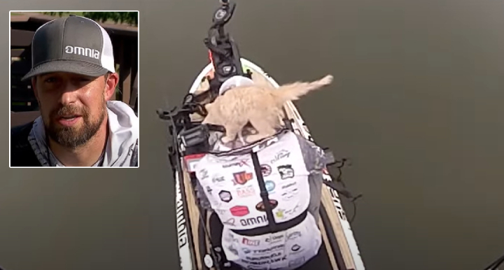 man catches cat while fishing