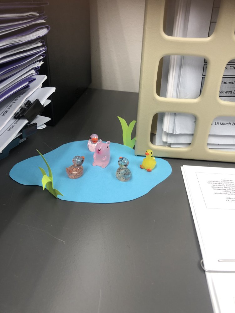 duck pond office kindness