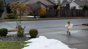 feel good video
