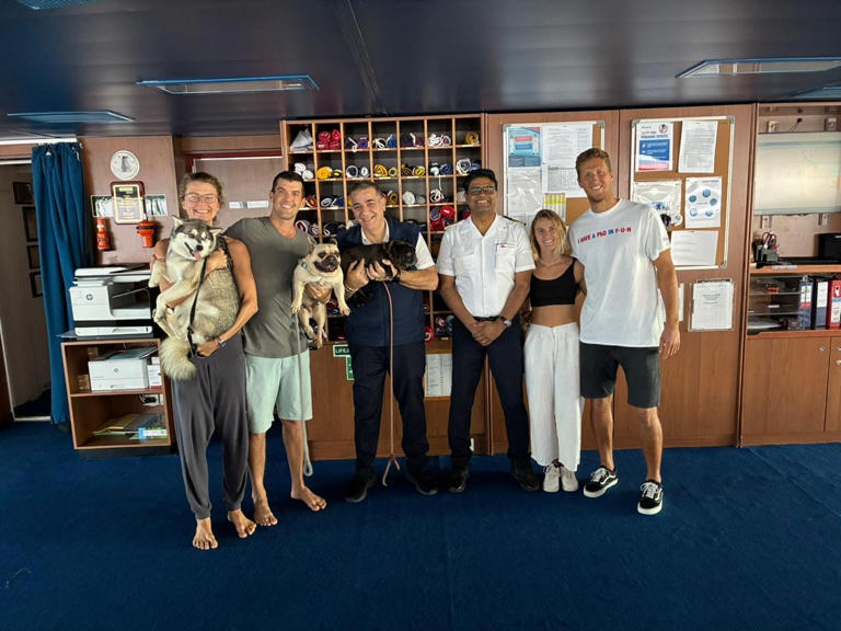 cruise ship saves boaters and dogs