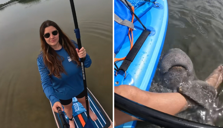 woman friends with paddle manatee