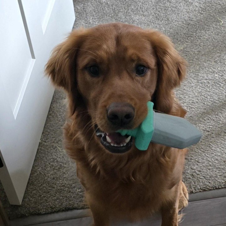 dog knife