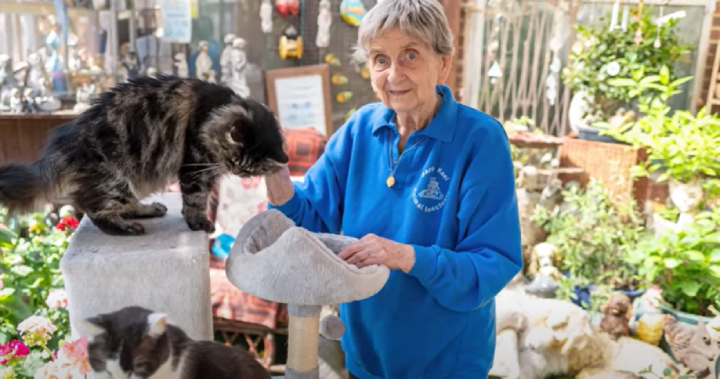 woman has rescued 10 thousand animals