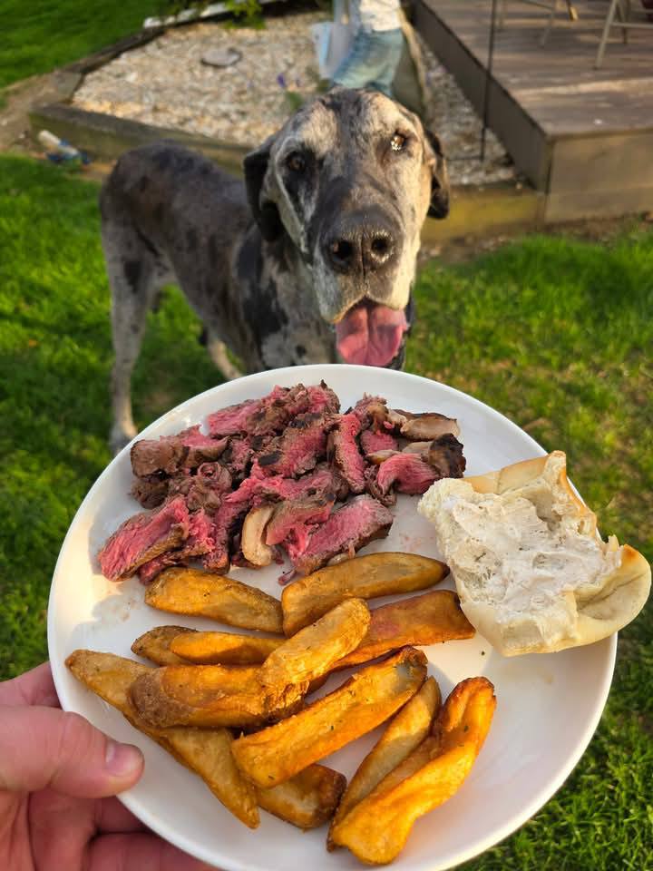last meal for dog steak
