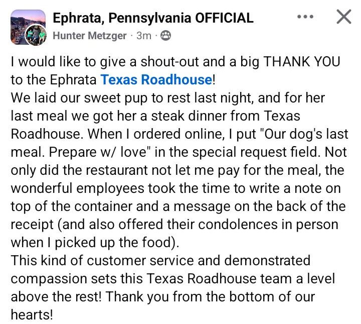 last meal for dog steak