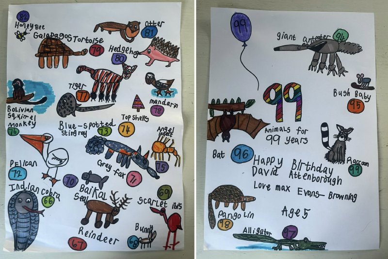 boy draws 99 animals for David Attenborough