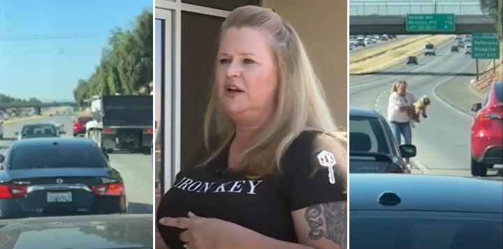 woman stops traffic to rescue dog