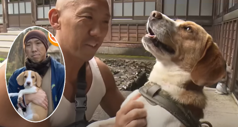 rescued dog saves monk from bear attack