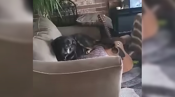 feel good video