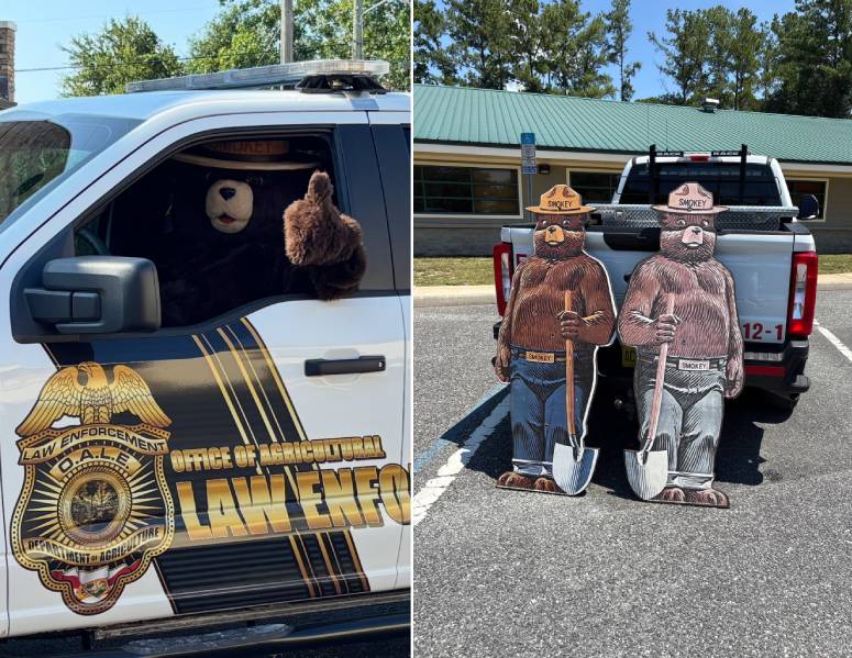 Smokey the bear funny arrest story
